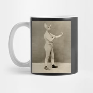 Temple Boxer Mug